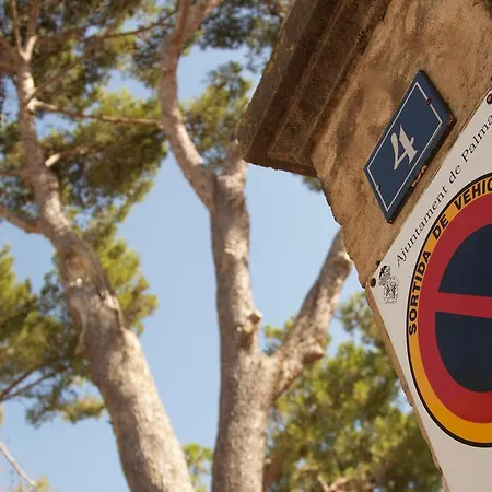 Els Pins * Palma